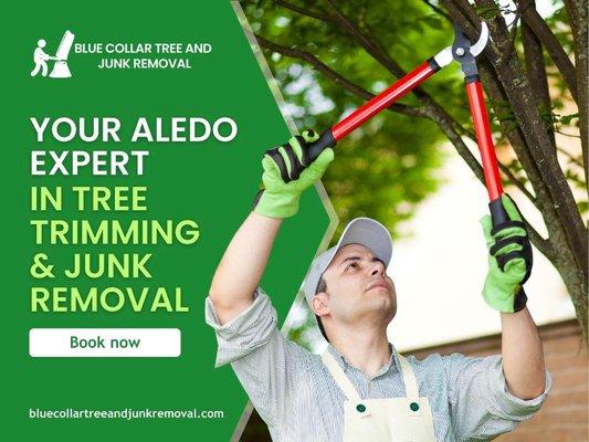 Blue Collar Tree and Junk Removal