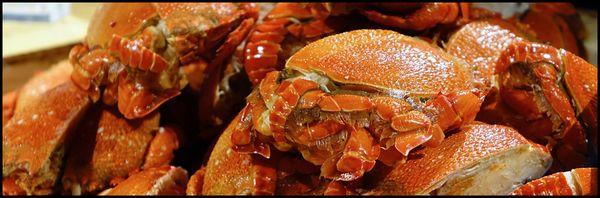 Atchafalaya Seafood Co.