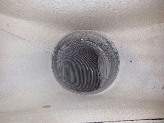 Love Carpet Care & Repair