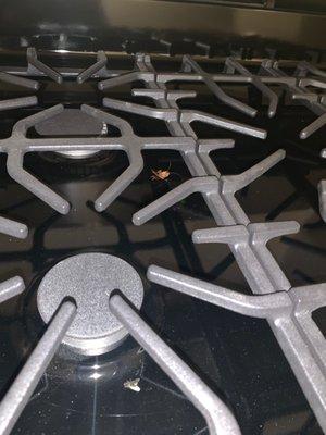 Castilian Park Apartments