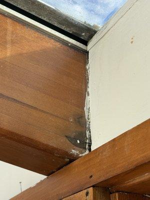 Angels Contracting Pro