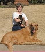 Pet Watch