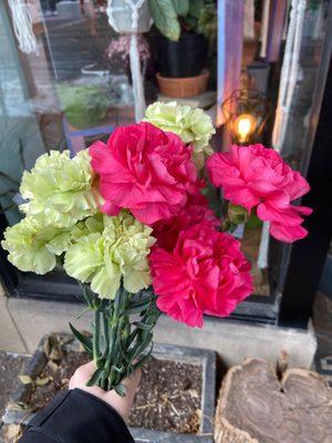 Flamenco Exquisite Flower Design