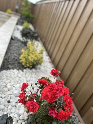 Rocks with beautiful flowers