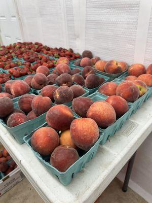 RT 610 Produce & Firewood