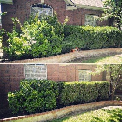 Mower Man Lawn Service