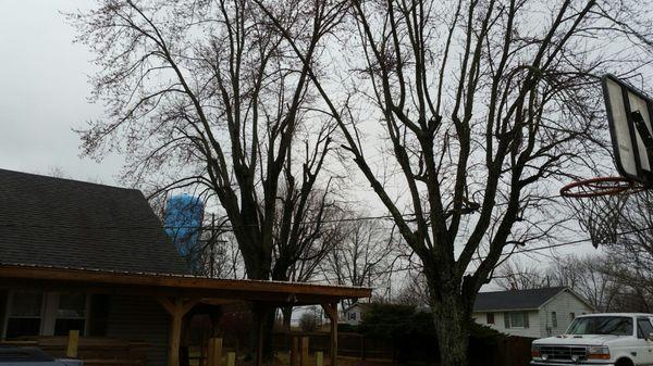 Cedar Knoll Tree Service