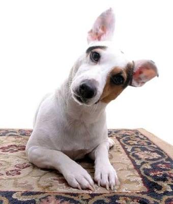 Carpet Cleaning Of Burleson