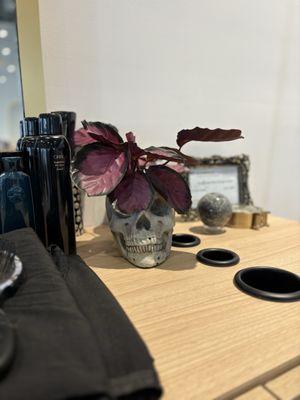 February 2025 - Erin stylist