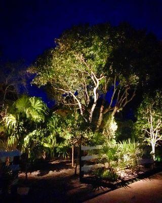 Tropical Landscape Lighting