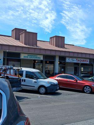 Sharon's Canine Classics