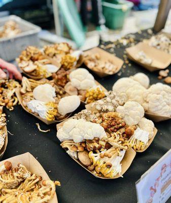 Montavilla Farmers Market