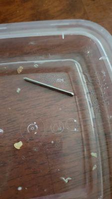 Nail I pulled out of my mouth