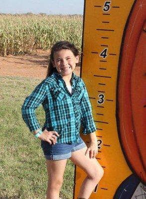 Southern Paradise Photography