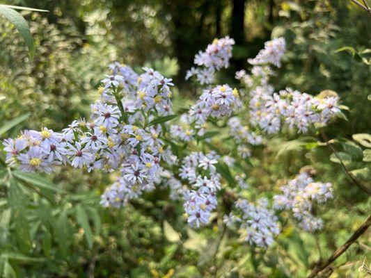 John Withers Sports Complex