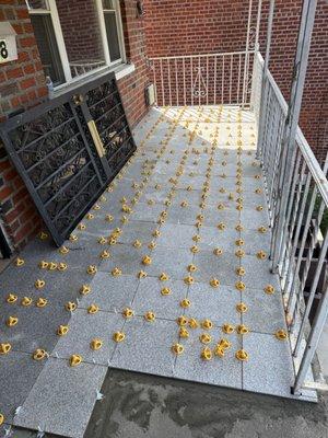 Legacy Home Construction