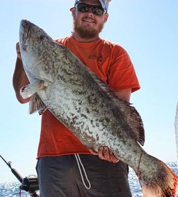 Deep Sea fishing for Gag Grouper.