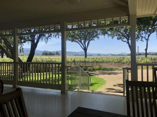 Boyd Family Vineyard