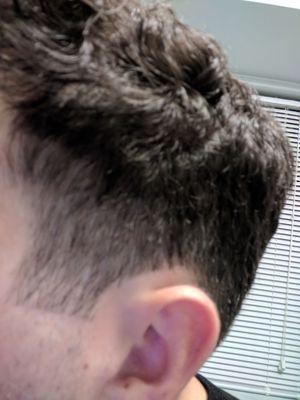 This was supposed to be a fade to 1.5. It's completely off and looks butchered.