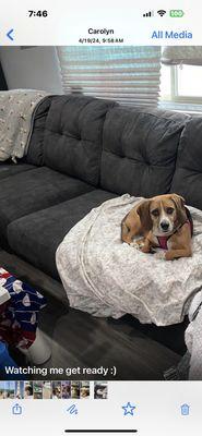 Happy Paws Happy Tails