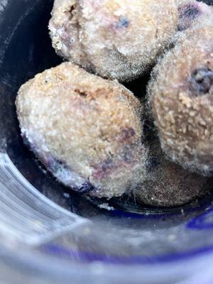 Moldy blueberry donut holes