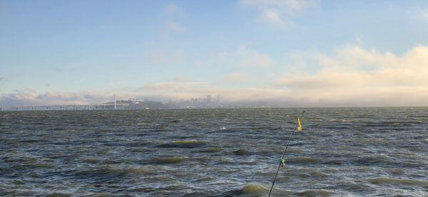 Shorebird Park Nature Center & Adventure Playground