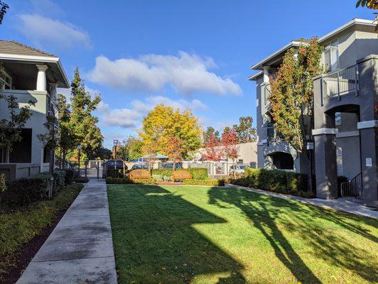 Gemello Village Apartments