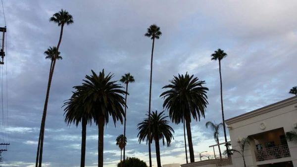 Meridian Acupuncture & Herbs