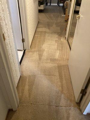 Michael's Carpet Steam Cleaning