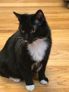 OTTO: I'll be at the front desk waiting for you!