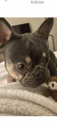 Sweet girl who doesn't deserve someone's haste.