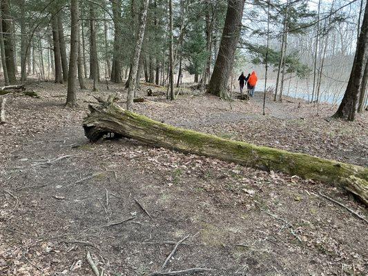 Nature Trail through Middendorf