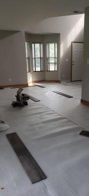 Sal and Clau Services