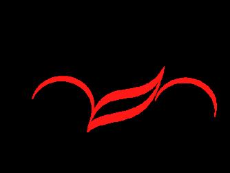 Lore Motorcycle Education