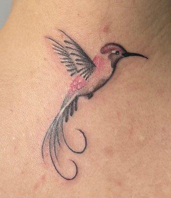 Hummingbird