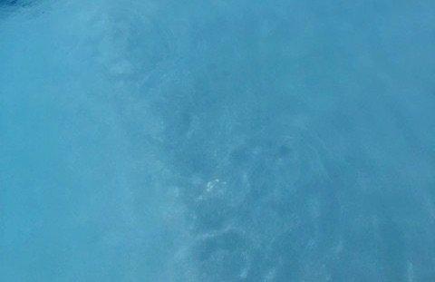 Allen Pools
