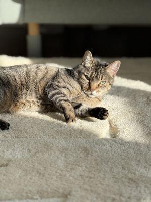 Thank you for giving my baby an ultrasound on short notice