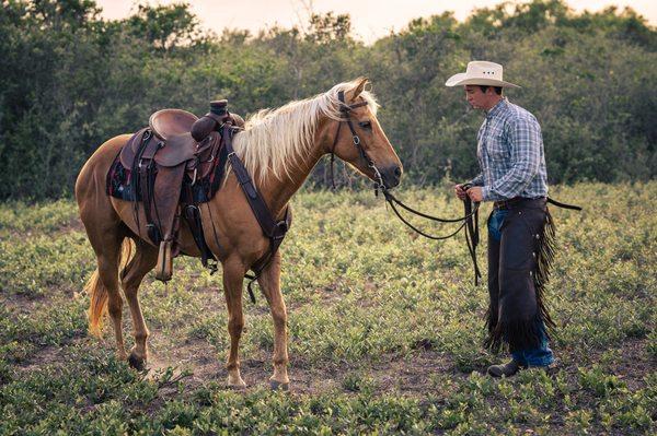 Michael George Horsemanship