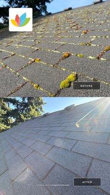 before and after roof cleaning and moss removal service