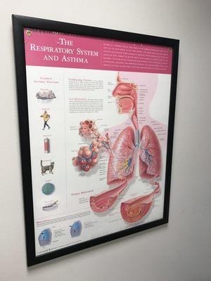 Chicago Family Asthma and Allergy