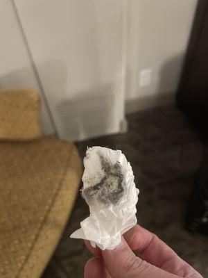 Hyatt Regency Coral Gables