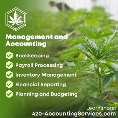 420 Accounting Services