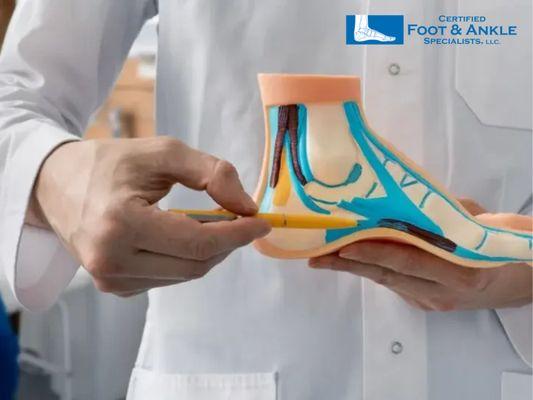 Certified Foot and Ankle Specialists