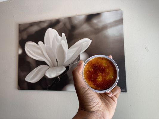 Grapefruit Olive Oil Creme Brûlée