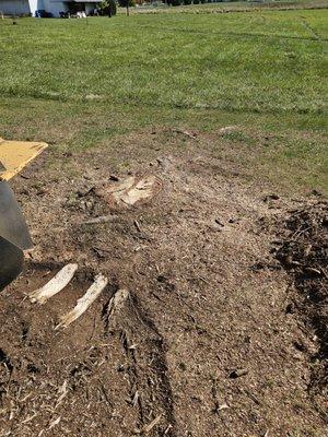 Kirkendall Xtreme Stump