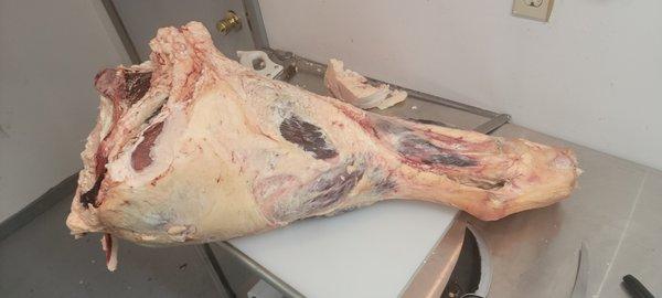 Legerski Processing Wildgame