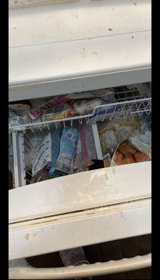 Lilyshine Cleaning Services