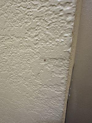 Super 8 By Wyndham Olive Branch