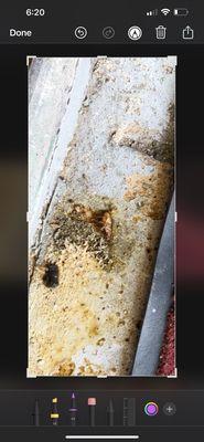 Monarch Bar and Lounge