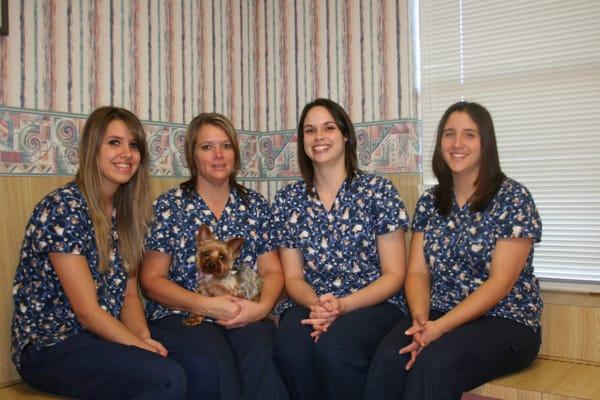 Wise County Animal Clinic